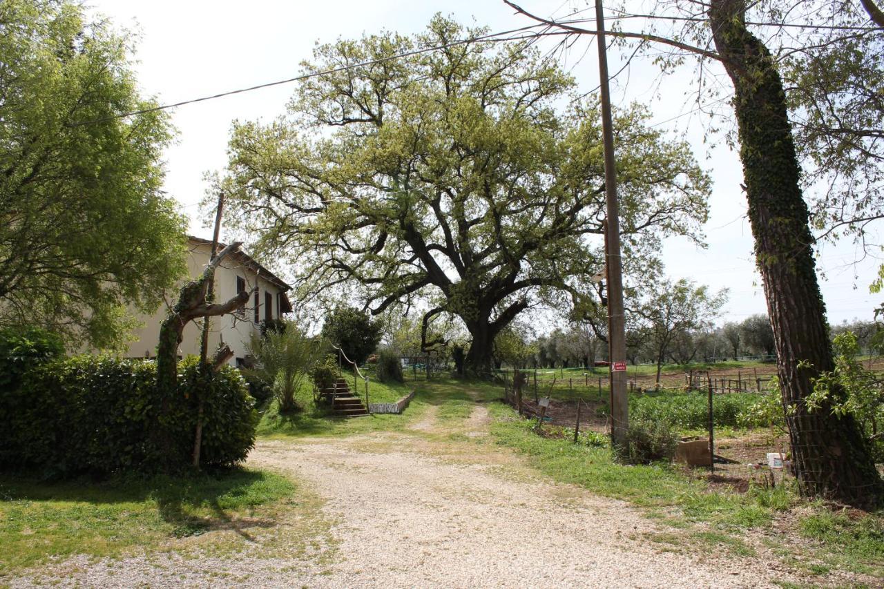 Landhuis Il Capannone