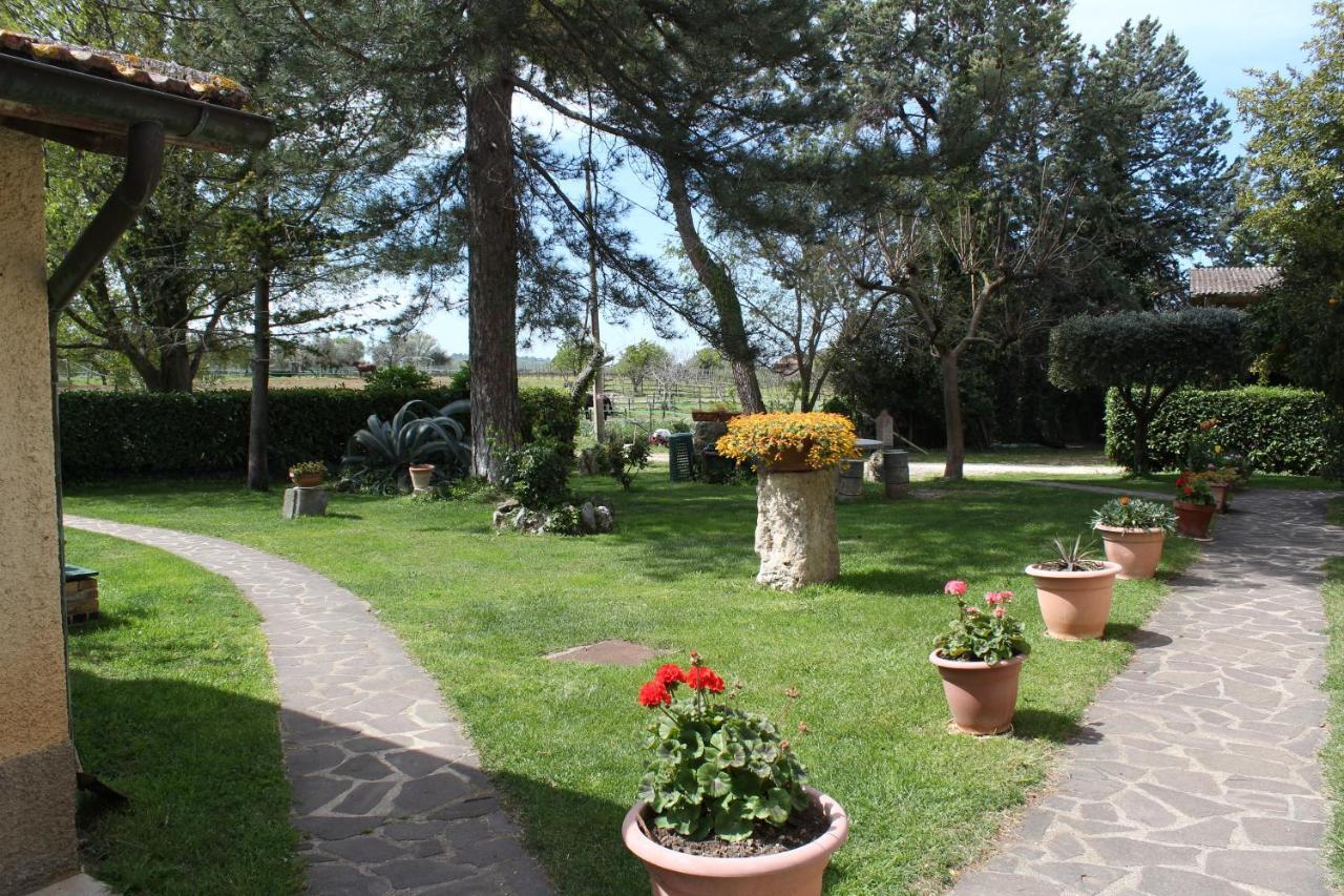Landhuis Il Capannone Montemerano