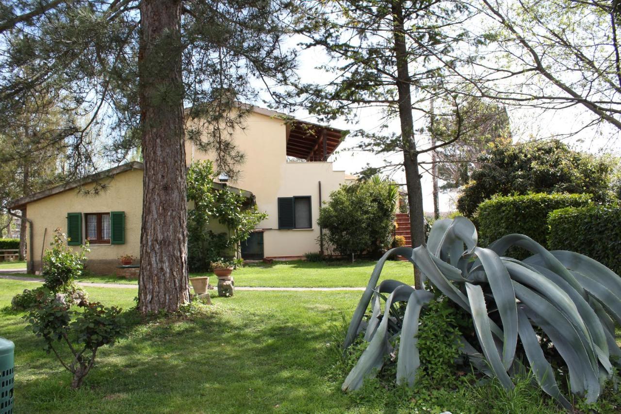 Il Capannone Montemerano